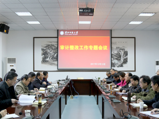 乐鱼页面在线登录审计整改工作专题会议