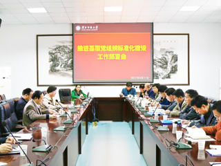 乐鱼页面在线登录推进基层党组织标准化建设工作部署会