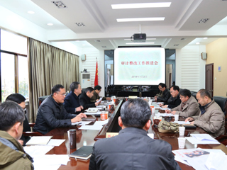 乐鱼页面在线登录审计整改工作推进会