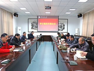 乐鱼页面在线登录审计整改工作专题会议