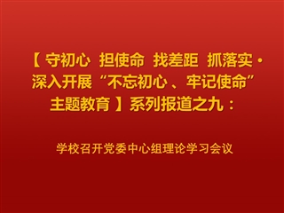 乐鱼页面在线登录党委中心组理论学习会议