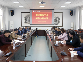 乐鱼页面在线登录巡视整改工作领导小组会议