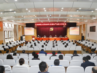 乐鱼页面在线登录2020年全面从严治党工作会议