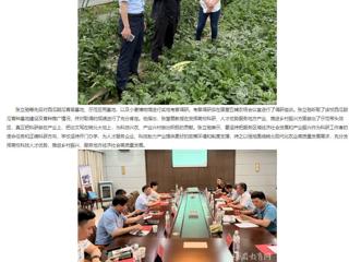 【主题教育】安徽教育网： 走出去 沉下来 乐鱼网页版登录入口深入省级科研基地调研