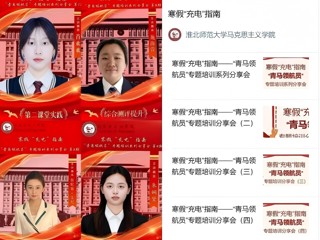 青马领航赋能成长 寒假充电蓄力前行 —— 马克思主义学院举办“青马领航员”专题培训系列分享会